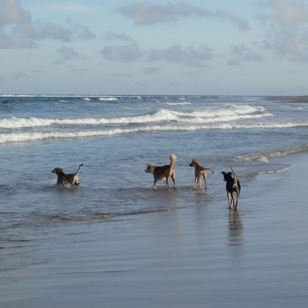 Meet your Posher, Sisca